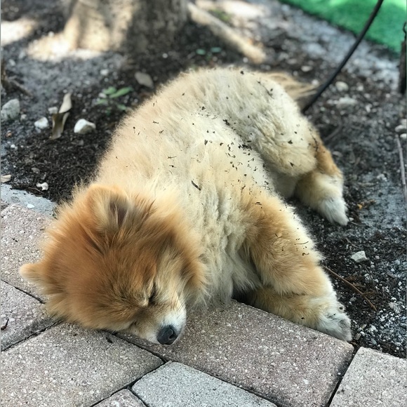 Meet your Posher! 🙋🏻♀️ - Picture 7 of 11